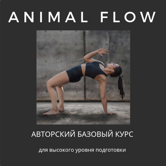 [Анастасия Канивец] Базовый курс ‌Animal Flow